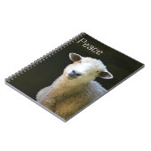 Friedliches Schaf Notizblock (Linke Seite)