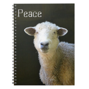 Friedliches Schaf Notizblock