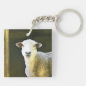 Friedliches Schaf Schlüsselanhänger (Rückseite)