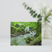Friedliches Waldrand Wasserfall Foto Postkarte (Stehend Vorderseite)