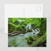 Friedliches Waldrand Wasserfall Foto Postkarte (Vorne/Hinten)