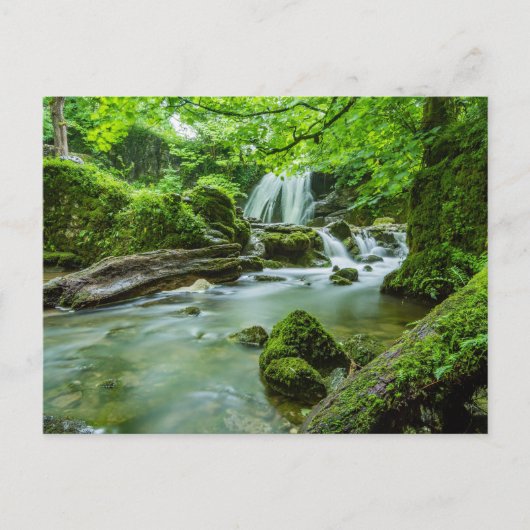 Friedliches Waldrand Wasserfall Foto Postkarte (Vorderseite)