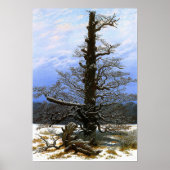 Friedrich - Eichenbaum im Schnee Poster (Vorne)