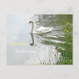 Friedvolle Schwan- & Libellen-Beileidskarte Postkarte