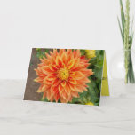 Friend Birthday Card mit farbenprächtigen Dahlien Karte<br><div class="desc">Es gibt nichts,  was Ihre Geister aufhebt,  wie durch Gärten,  die mit bunten Blumen gefüllt sind. Ich hoffe,  Sie genießen die Farbe dieser prächtigen Dahlia. Mehr Vögel und mehr Natur finden Sie in unserem Atelier Eyes4Nature Zazzle.</div>