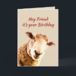 Friend Birthday Funny Sheep Animal Spaß Feiertagskarte<br><div class="desc">Friend Birthday Funny Sheep Animal Spaß lasse nach einigen Schafzüchtern suchen. Fun Pun Funny Sheep Animal Spaß für Ihren besten Freund</div>