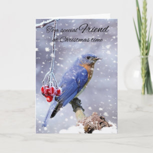 Friend Bluebird im Schnee Winterurlaub Feiertagskarte
