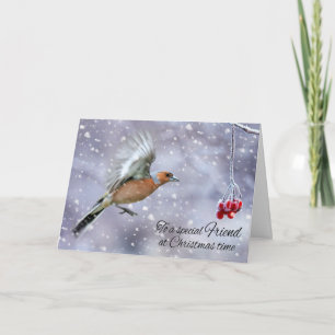 Friend Chaffinch im Winterschnee Gruß Feiertagskarte