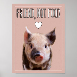 "Friend, not food" mit niedlichem Ferkel vegan Poster
