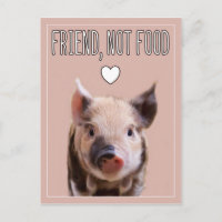 "Friend, not food" rosa mit niedlichem Ferkel vega