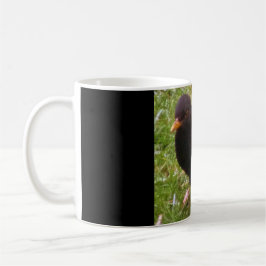 Friendly Blackbird Tasse