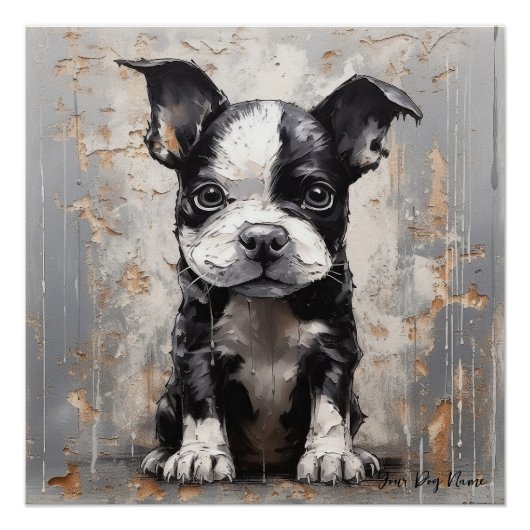 Friendly Boston Terrier Puppy Dogs 005 - Raimon P Poster (Vorderseite)