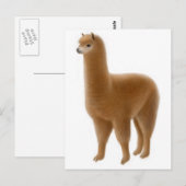 Friendly Brown Alpaca Postcard Postkarte (Vorne/Hinten)