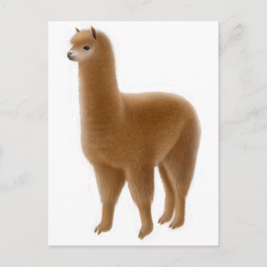 Friendly Brown Alpaca Postcard Postkarte (Vorderseite)
