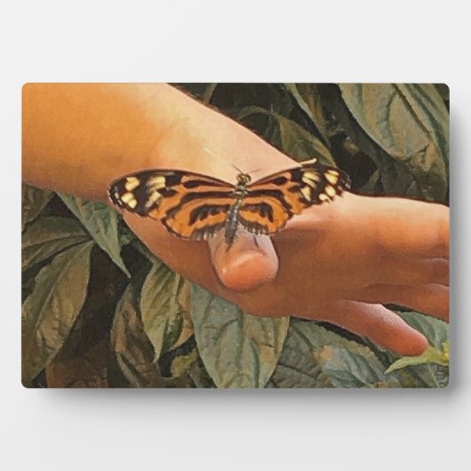 Friendly Butterfly Fotoplatte (Vorderseite)