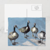 Friendly Canada Gese 2012 Postkarte (Vorne/Hinten)