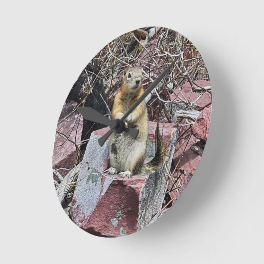 Friendly Chipmunk Runde Wanduhr (Winkel)