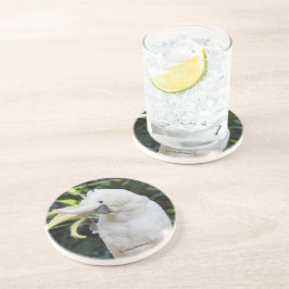 Friendly Cockatoo Parrot Bird Waves in Paparazzi Getränkeuntersetzer