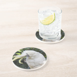 Friendly Cockatoo Parrot Bird Waves in Paparazzi Getränkeuntersetzer