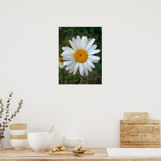 Friendly Daisy Poster (Küche)