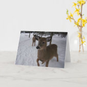 friendly deer karte (Gelbe Blume)