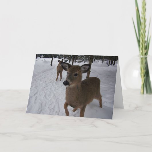 friendly deer karte (Vorderseite)