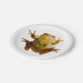 Friendly Frog 4 Frank Pappteller (Schrägansicht)