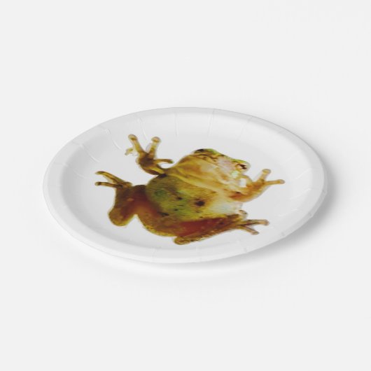 Friendly Frog 4 Frank Pappteller (Schrägansicht)