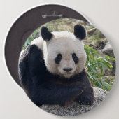 Friendly Giant Panda Button (Vorne & Hinten)