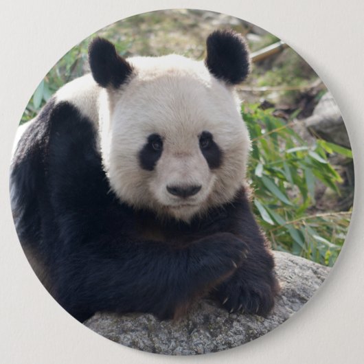 Friendly Giant Panda Button (Vorderseite)