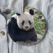 Friendly Giant Panda Button (Beispiel)