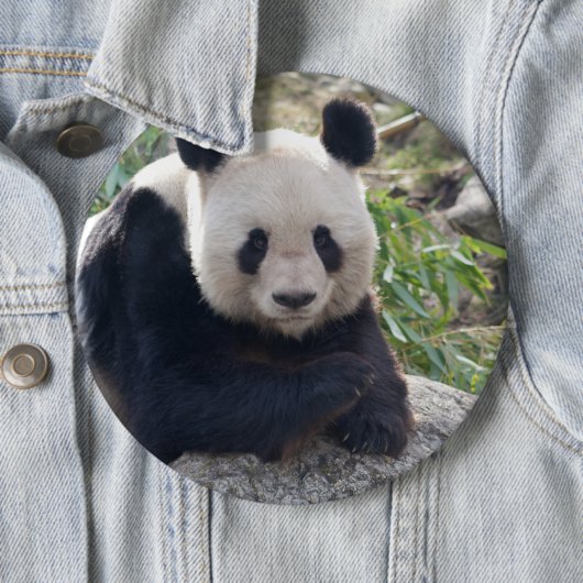Friendly Giant Panda Button (Beispiel)