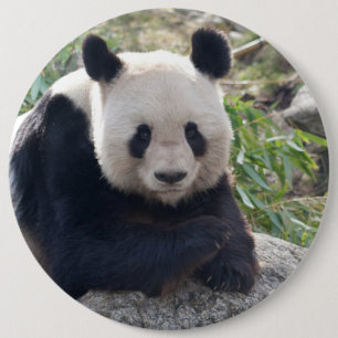 Friendly Giant Panda Button