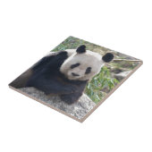 Friendly Giant Panda Fliese (Seite)