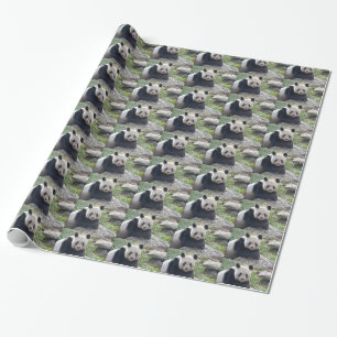Friendly Giant Panda Geschenkpapier