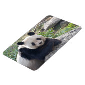 Friendly Giant Panda Magnet (Linke Seite)