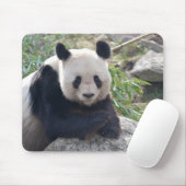 Friendly Giant Panda Mousepad (Mit Mouse)