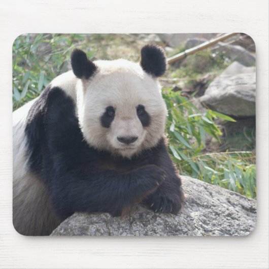 Friendly Giant Panda Mousepad (Vorne)