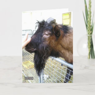 Friendly Goat Karte