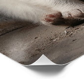 Friendly Great Pyrenees Puppy Dogs 004 - Raimon P Poster (Ecke)