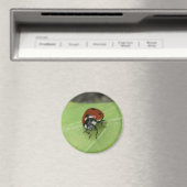 Friendly Ladybug Magnet (In Situ (Geschirrspüler))