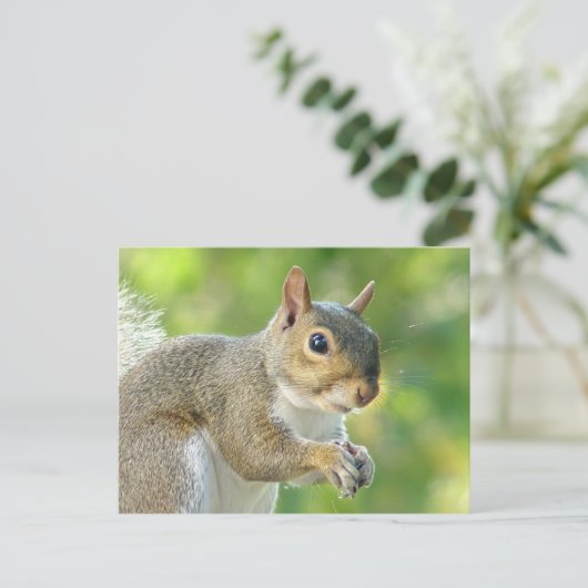 Friendly Little Squirrel Postcard Postkarte (Stehend Vorderseite)