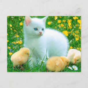 Friendly Loyal Absolabsolut Keen Postkarte