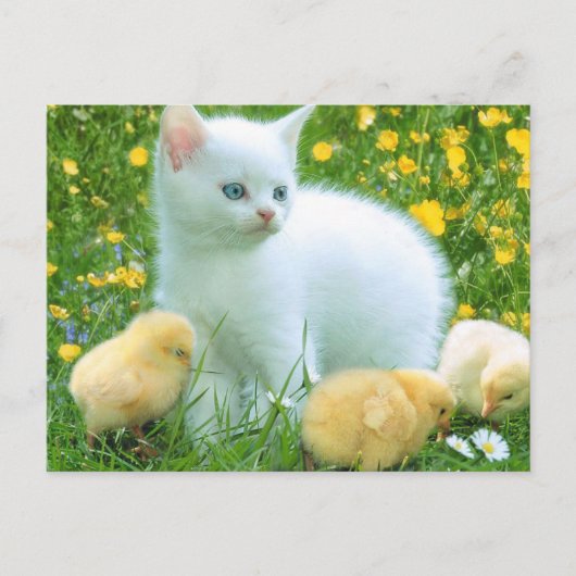 Friendly Loyal Absolabsolut Keen Postkarte (Vorderseite)
