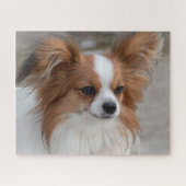 Friendly Papillon Puppy Dog Puzzle (Horizontal)