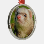 Friendly Pet Ferret Ornament Aus Metall (Rechts)