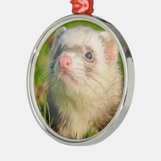 Friendly Pet Ferret Ornament Aus Metall (Links)