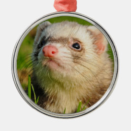 Friendly Pet Ferret Ornament Aus Metall