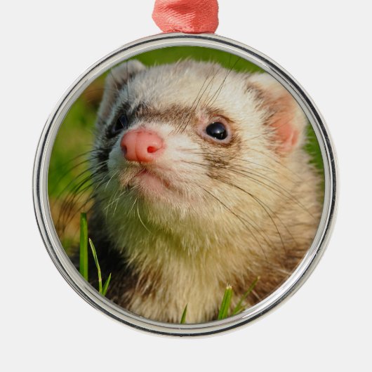 Friendly Pet Ferret Ornament Aus Metall (Vorne)