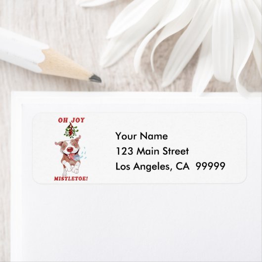 Friendly Pitbull Lauf nach Mistletoe (Insitu)